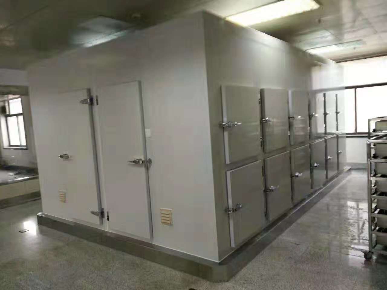 Medical Cold Room 