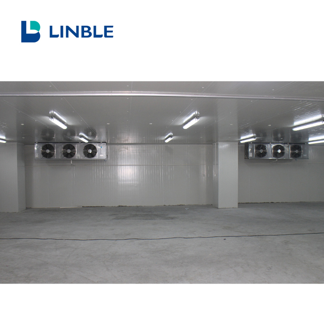 30CBM small cold room for fruit and vegetable 