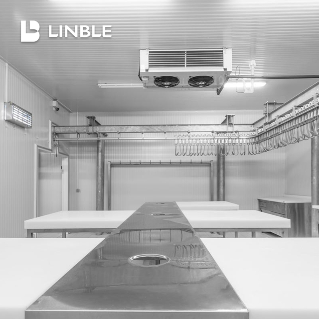 15CBM Small Blast Freezer for Fresh Seafood 